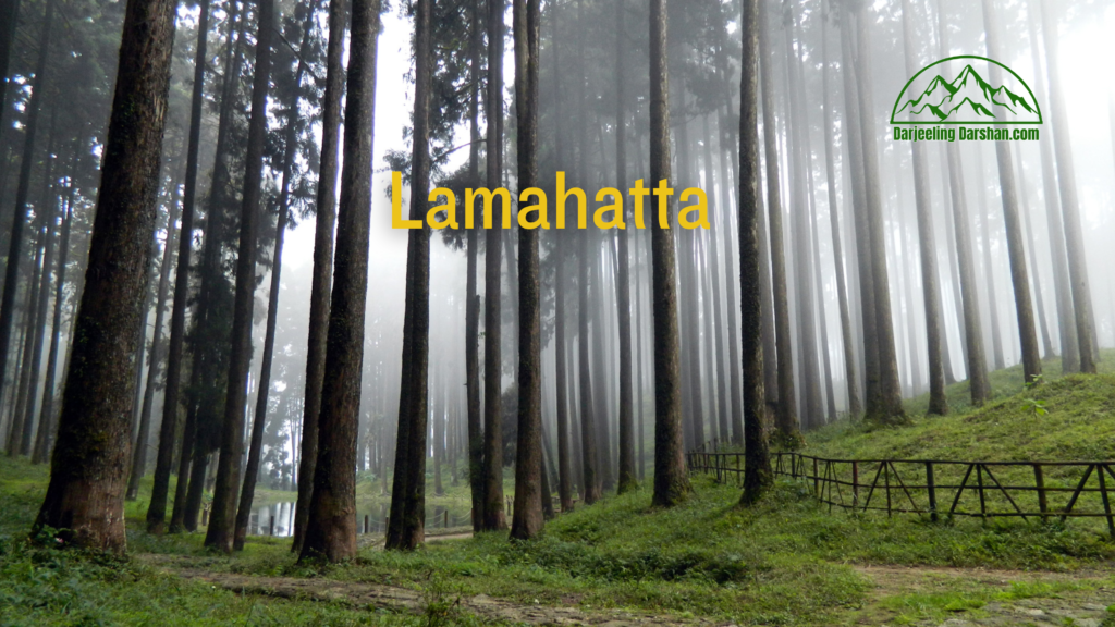 places to see in darjeeling