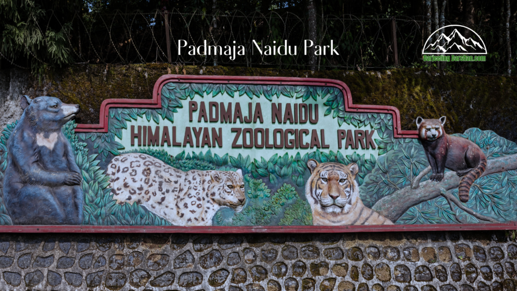 places to see in darjeeling