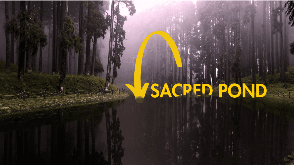 sacred pond lamahatta best place to visit in Darjeeling for Couples